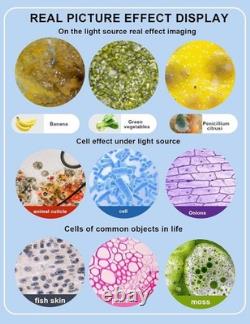 Microscope numérique USB à objectif achromatique