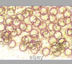 Nikon CF Plan 20X/0.40 ? /0 EPI ELWD WD 11.0 Objectif de microscope RMS 33115