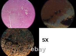 Nikon Plan Bd 5x 10x 20x 40x Microscope DIC M26 Objectif Objectif Nomarski