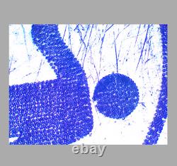 Objectif de microscope Exc Olympus MPlanApo 2.5x /- pour RMS 34316