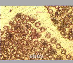 Objectif de microscope Exc Olympus UMPlanFl 10x/0.25 BD P? /- pour M26 32821