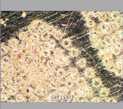 Objectif de microscope Exc Olympus UMPlanFl 10x/0.25 BD P? /- pour M26 32821