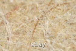 Objectif de microscope Mitutoyo M Plan Apo 10x / 0.28 Infi/0 f=200 #5450