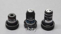 Objectifs de microscope Accu-Scope Lot de 3 4X 40X et 100X
