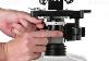 Tutoriel De Microscopie En Fond Noir Amscope Dk Dry100 Dk Oil100 Sur Microscope Compos&eacute; T490