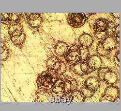 VERRE PROPRE Objectif de microscope Olympus LMPlanFL N 20X/0,40 BD M26 33089