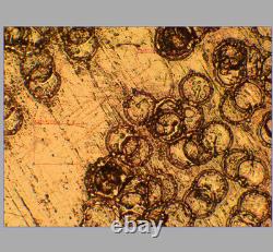 VERRE PROPRE Objectif de microscope Olympus LMPlanFL N 20X/0,40 BD M26 33089