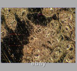 VERRE PROPRE Objectif de microscope Olympus LMPlanFL N 20X/0,40 BD M26 33089