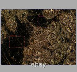 VERRE PROPRE Objectif de microscope Olympus LMPlanFL N 20X/0,40 BD M26 33089