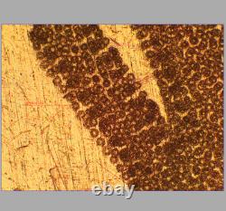 VERRE PROPRE Objectif de microscope Olympus MPlanFL N 5X/0.15 BD pour M26 33086