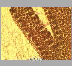 VERRE PROPRE Objectif de microscope Olympus MPlanFL N 5X/0.15 BD pour M26 33086