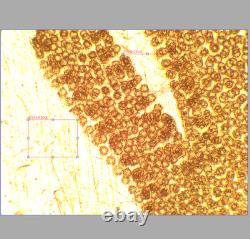 VERRE PROPRE Objectif de microscope Olympus MPlanFL N 5X/0.15 BD pour M26 33086