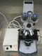 Zeiss Fluorescence Microscope Power Supply 5 Objectif Lentille Neofluar Darkfield
